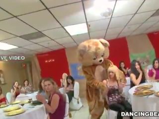It's time to celebrate and party with the infamous Dancing Bear! (db9822)